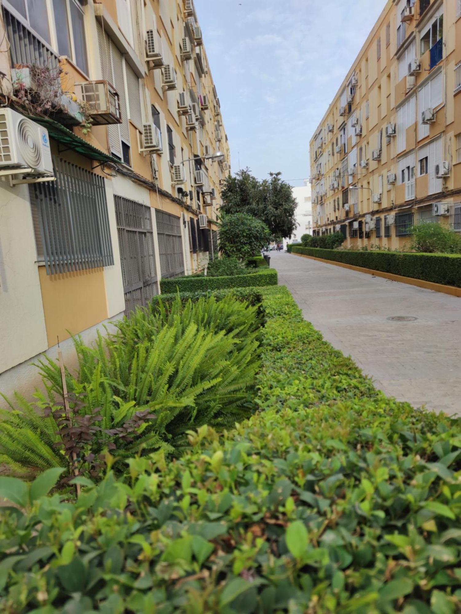 Apartamento Celia Seville Exterior photo
